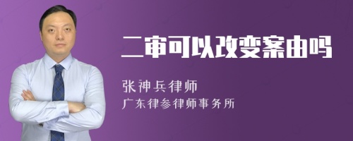 二审可以改变案由吗