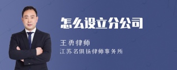 怎么设立分公司