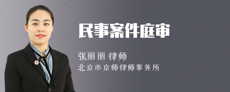 民事案件庭审