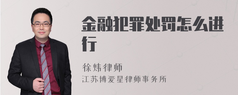 金融犯罪处罚怎么进行