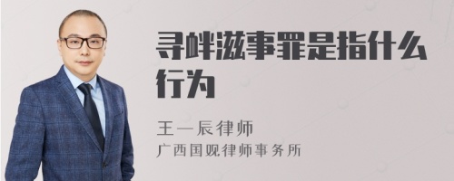 寻衅滋事罪是指什么行为