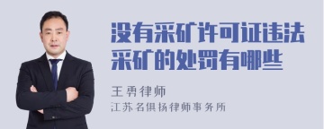 没有采矿许可证违法采矿的处罚有哪些