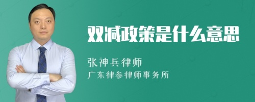 双减政策是什么意思