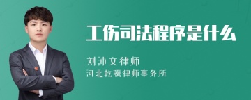 工伤司法程序是什么