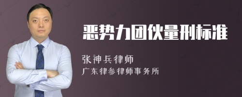 恶势力团伙量刑标准