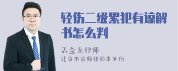 轻伤二级累犯有谅解书怎么判