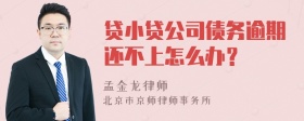 贷小贷公司债务逾期还不上怎么办？