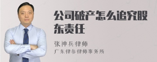 公司破产怎么追究股东责任