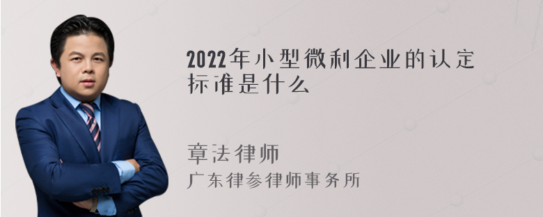 2022年小型微利企业的认定标准是什么