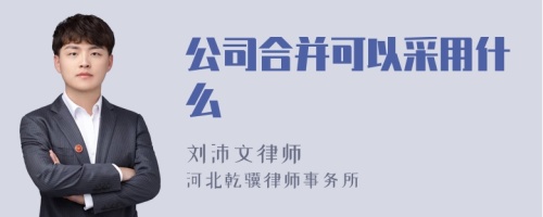 公司合并可以采用什么