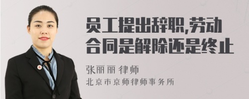 员工提出辞职,劳动合同是解除还是终止