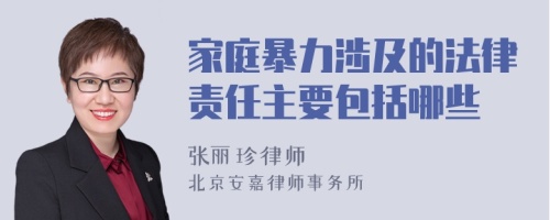 家庭暴力涉及的法律责任主要包括哪些