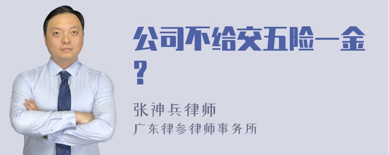 公司不给交五险一金?