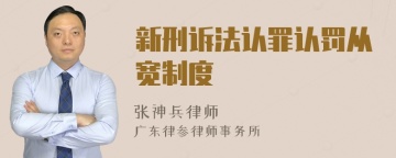 新刑诉法认罪认罚从宽制度