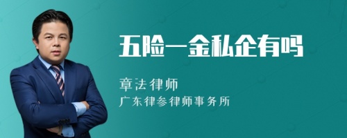 五险一金私企有吗