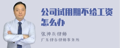 公司试用期不给工资怎么办