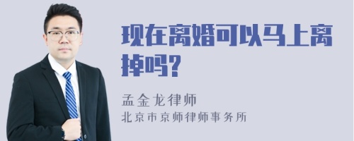 现在离婚可以马上离掉吗?