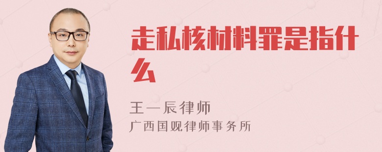 走私核材料罪是指什么