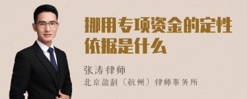 挪用专项资金的定性依据是什么