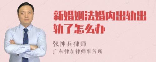 新婚姻法婚内出轨出轨了怎么办