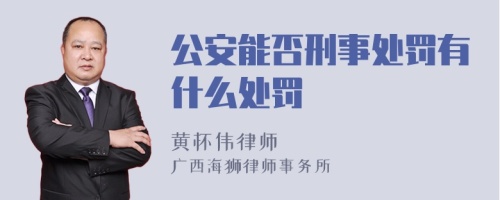 公安能否刑事处罚有什么处罚