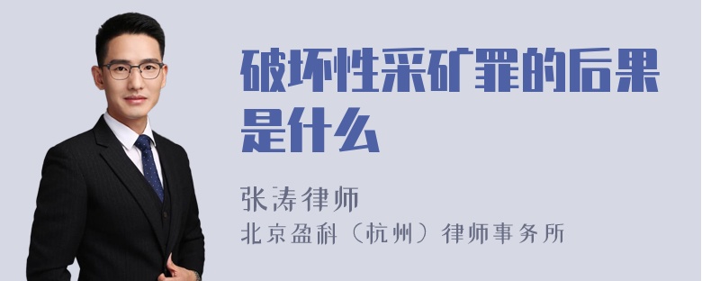 破坏性采矿罪的后果是什么