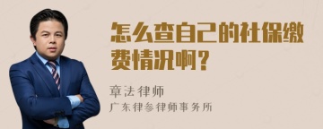 怎么查自己的社保缴费情况啊？