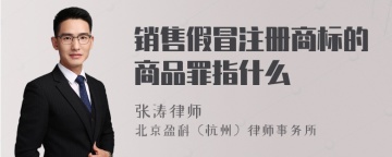 销售假冒注册商标的商品罪指什么