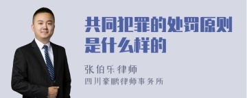 共同犯罪的处罚原则是什么样的