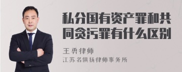 私分国有资产罪和共同贪污罪有什么区别