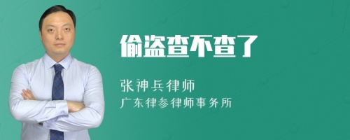 偷盗查不查了