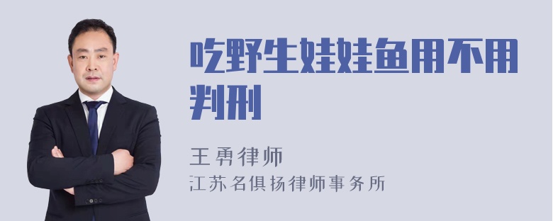 吃野生娃娃鱼用不用判刑