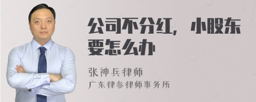 公司不分红，小股东要怎么办