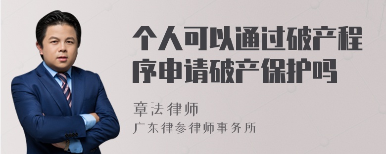 个人可以通过破产程序申请破产保护吗