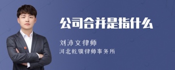 公司合并是指什么