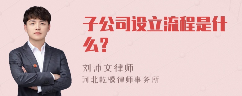 子公司设立流程是什么？