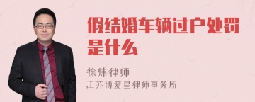 假结婚车辆过户处罚是什么