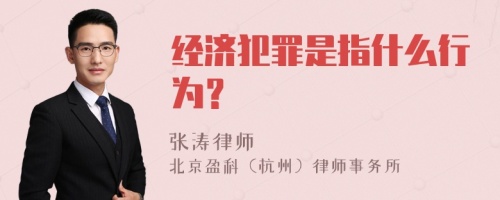 经济犯罪是指什么行为？