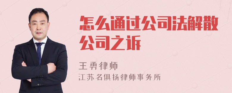 怎么通过公司法解散公司之诉