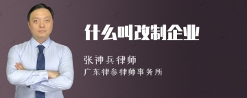 什么叫改制企业