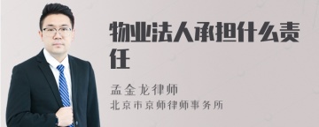 物业法人承担什么责任