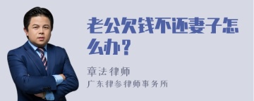 老公欠钱不还妻子怎么办？