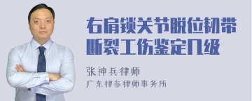 右肩锁关节脱位韧带断裂工伤鉴定几级