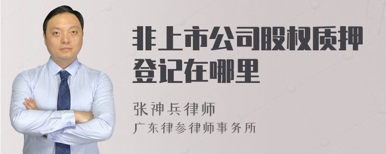 非上市公司股权质押登记在哪里