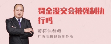 罚金没交会被强制执行吗