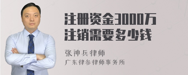 注册资金3000万注销需要多少钱