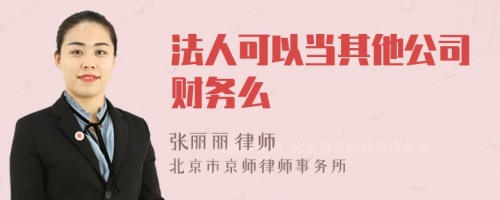 法人可以当其他公司财务么