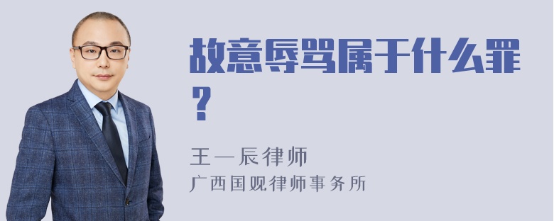 故意辱骂属于什么罪？