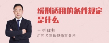 缓刑适用的条件规定是什么