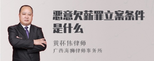 恶意欠薪罪立案条件是什么